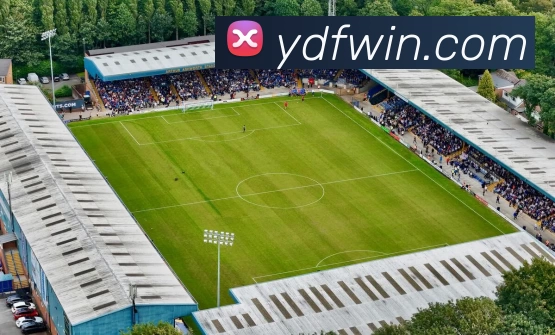 壹定发官网发展历程